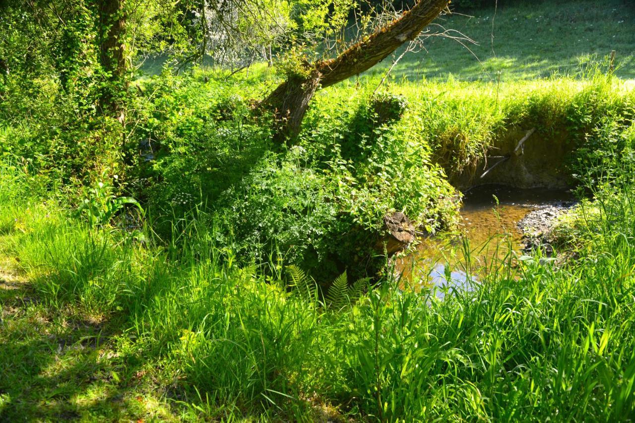 Le Domaine Du Pont Canon Plourivo Екстер'єр фото